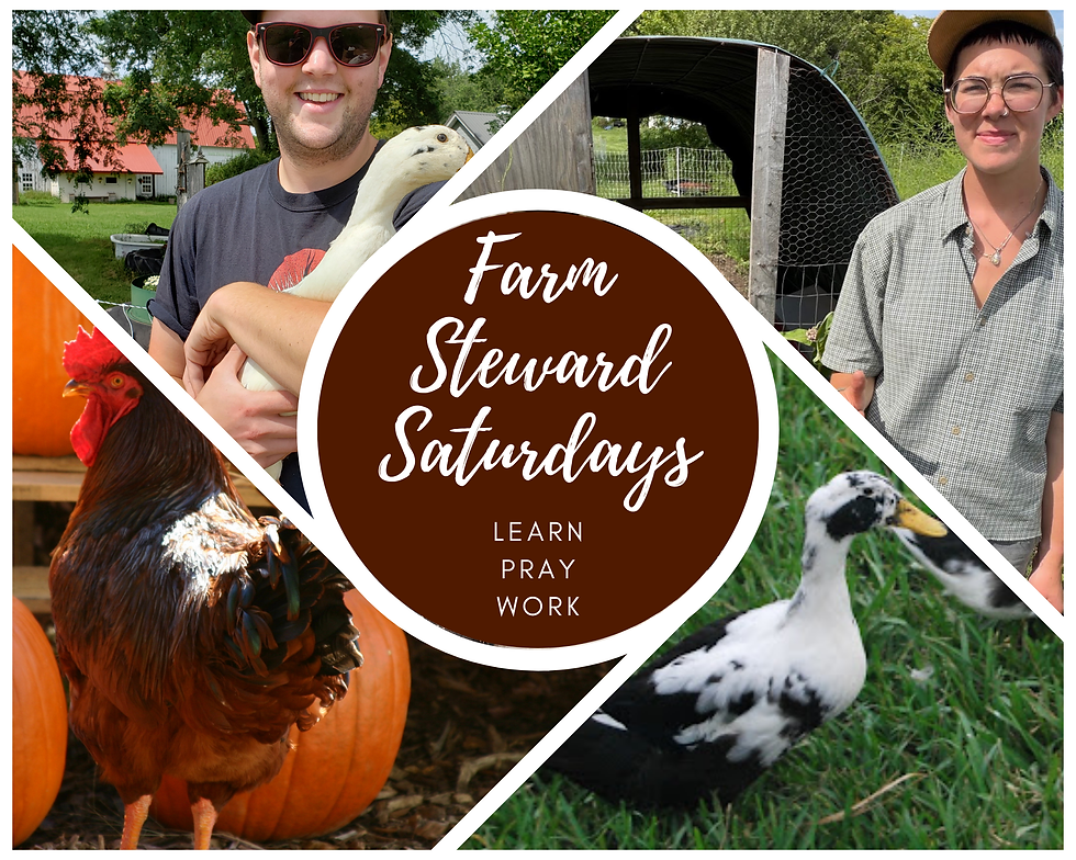 Farm Steward Saturdays