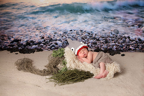 newborn baby boy dressed as a shark on a rock in the sand next to the ocean