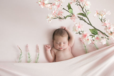 newborn baby girl on her back with arm up under a branch with blossoms
