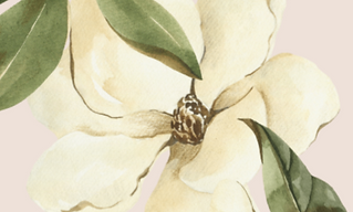 Livraison offerte dès 100€ d'achat