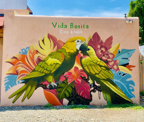troncones art maw cz