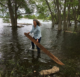 Liz Photo Foraging wood.jpg