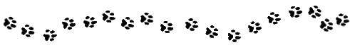 6710357.gif