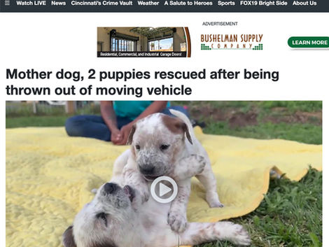 National Coverage: Maya's Story Has Gone Viral!