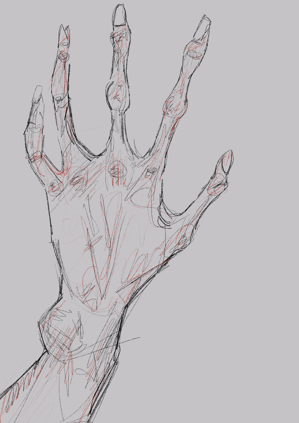 Skin & Bones