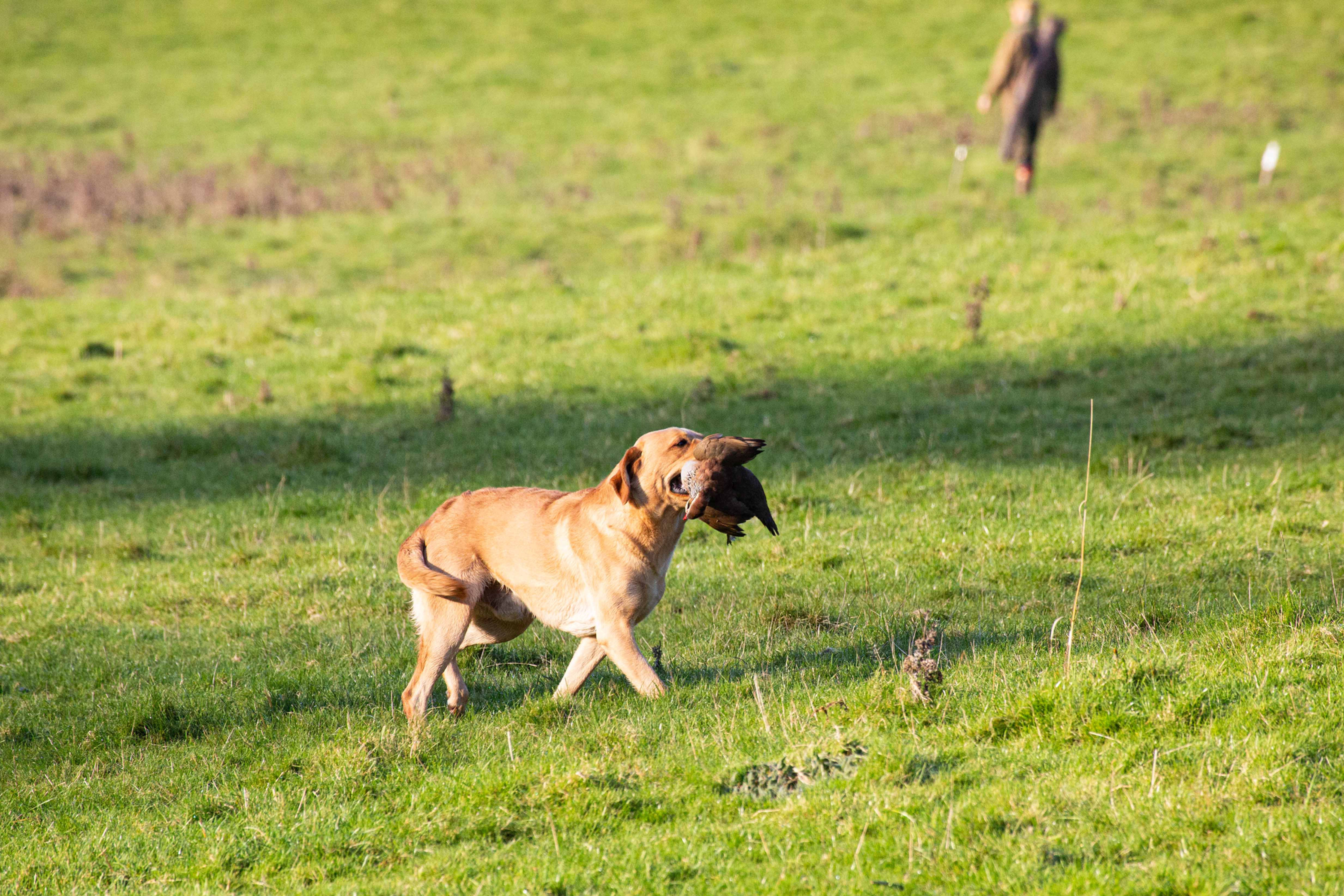 Barton Shoot 02.12.2023 - 062