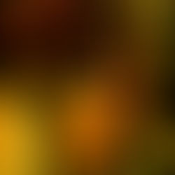 Tunisino - foto di Wilhelm von Gloeden