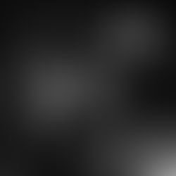 Studio della tecnica del restauro della Daning Room di Casa Cuseni