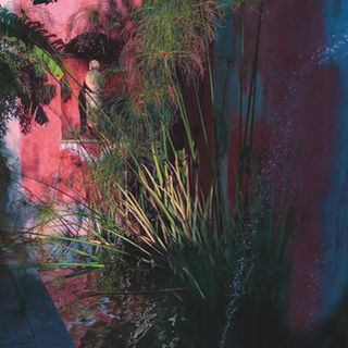 “Il Giardino che Cura”: Casa Cuseni apre le sue porte all’inclusione e al benessere.