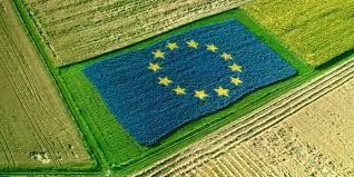 Disinfezione nella coltivazione biologica, la Comunità Europea si esprime a favore dell'anolyte 