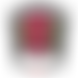 Passatempo de Natal #2