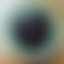 Bolo de chocolate e courgette com avelãs