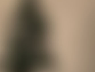 A DF SEGUROS deseja-lhe um Feliz e Santo Natal!