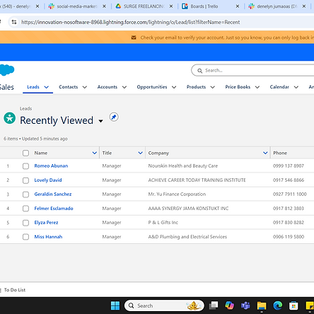 Salesforce Leads .png