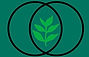 Synergy Shred (1)_edited_edited.jpg