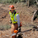 Justin Wareham with Black Mule Forestry
