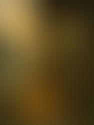 Beltane Blessings: Honouring Inner/Outer Sacred Union