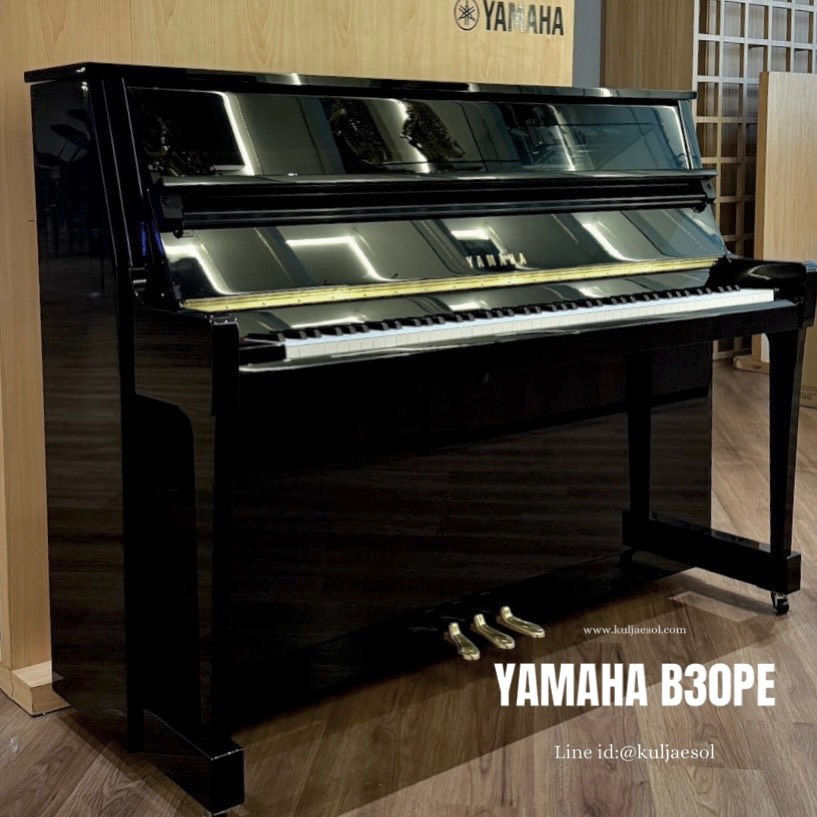 Thumbnail: Yamaha B30 PE