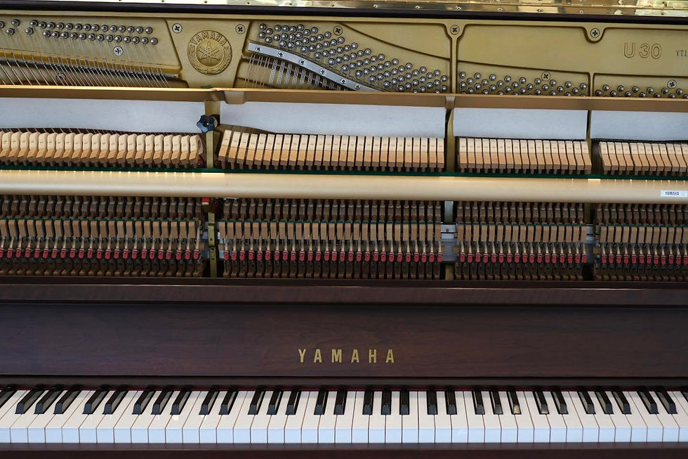 Thumbnail: YAMAHA U30 [USE]