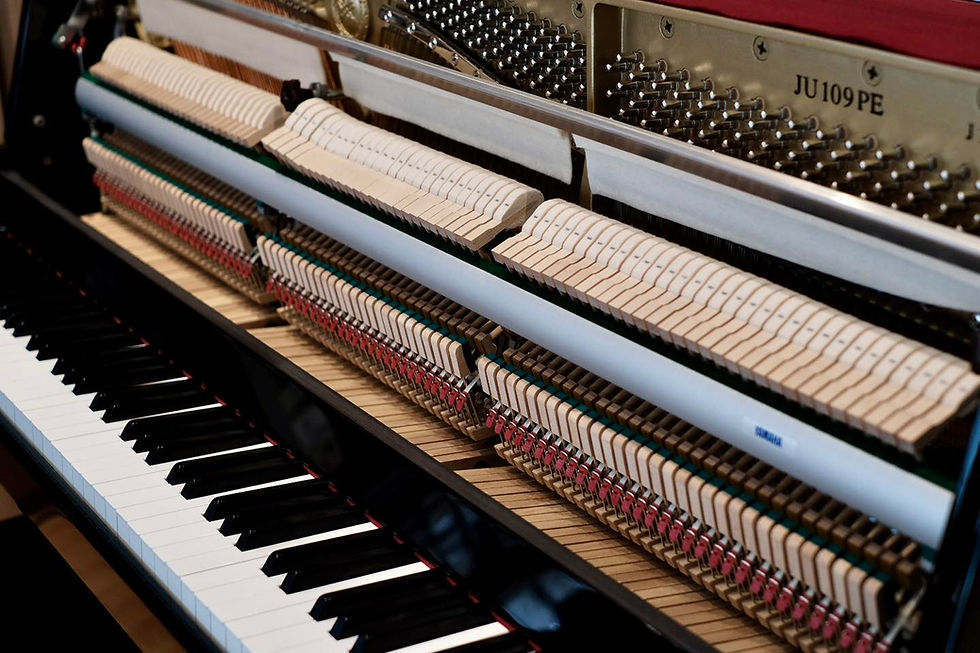 Thumbnail: Yamaha JU109 PE [USE]