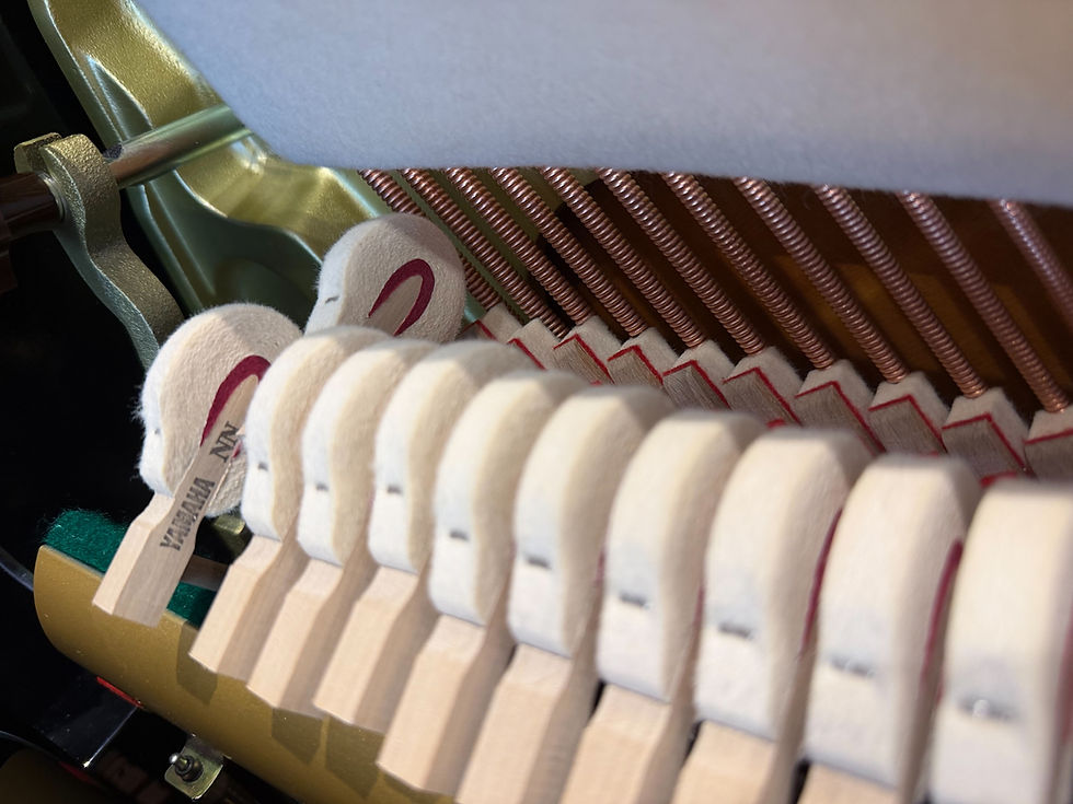 Thumbnail: Yamaha U1PE [USE]