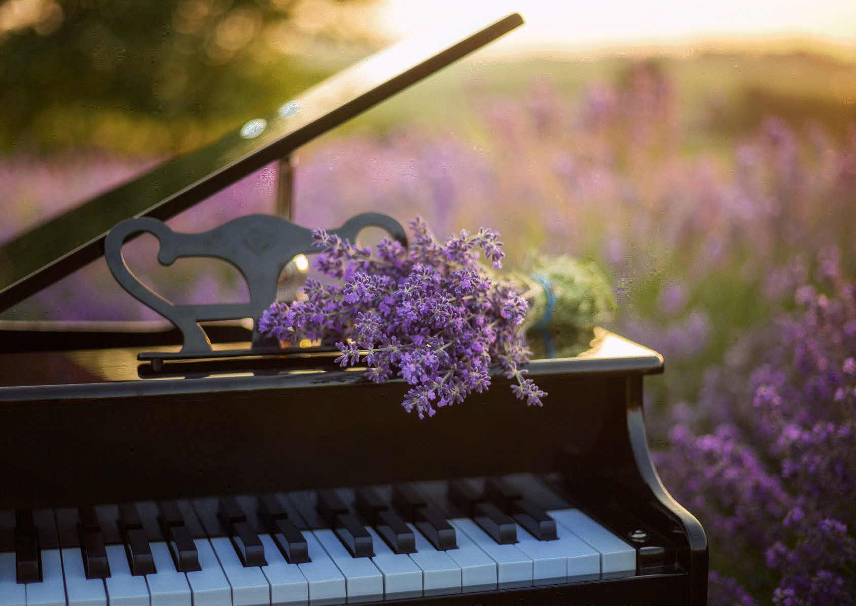 piano.gif
