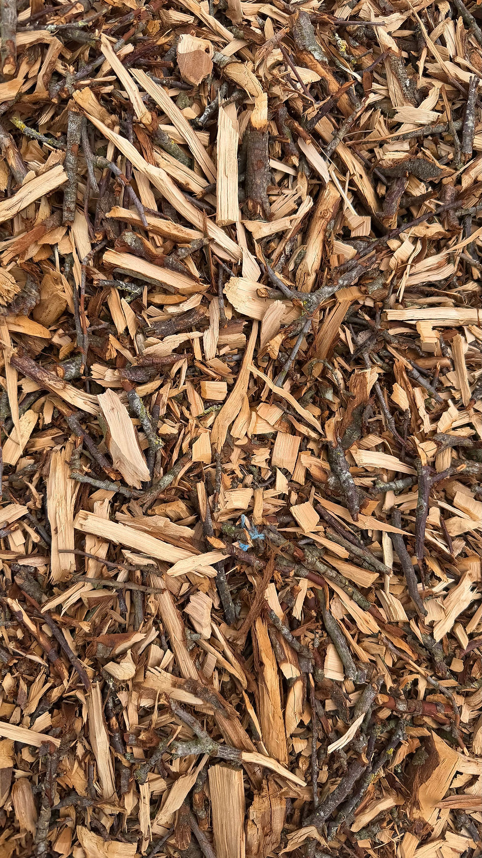 Thumbnail: Mulch Wood Chippings