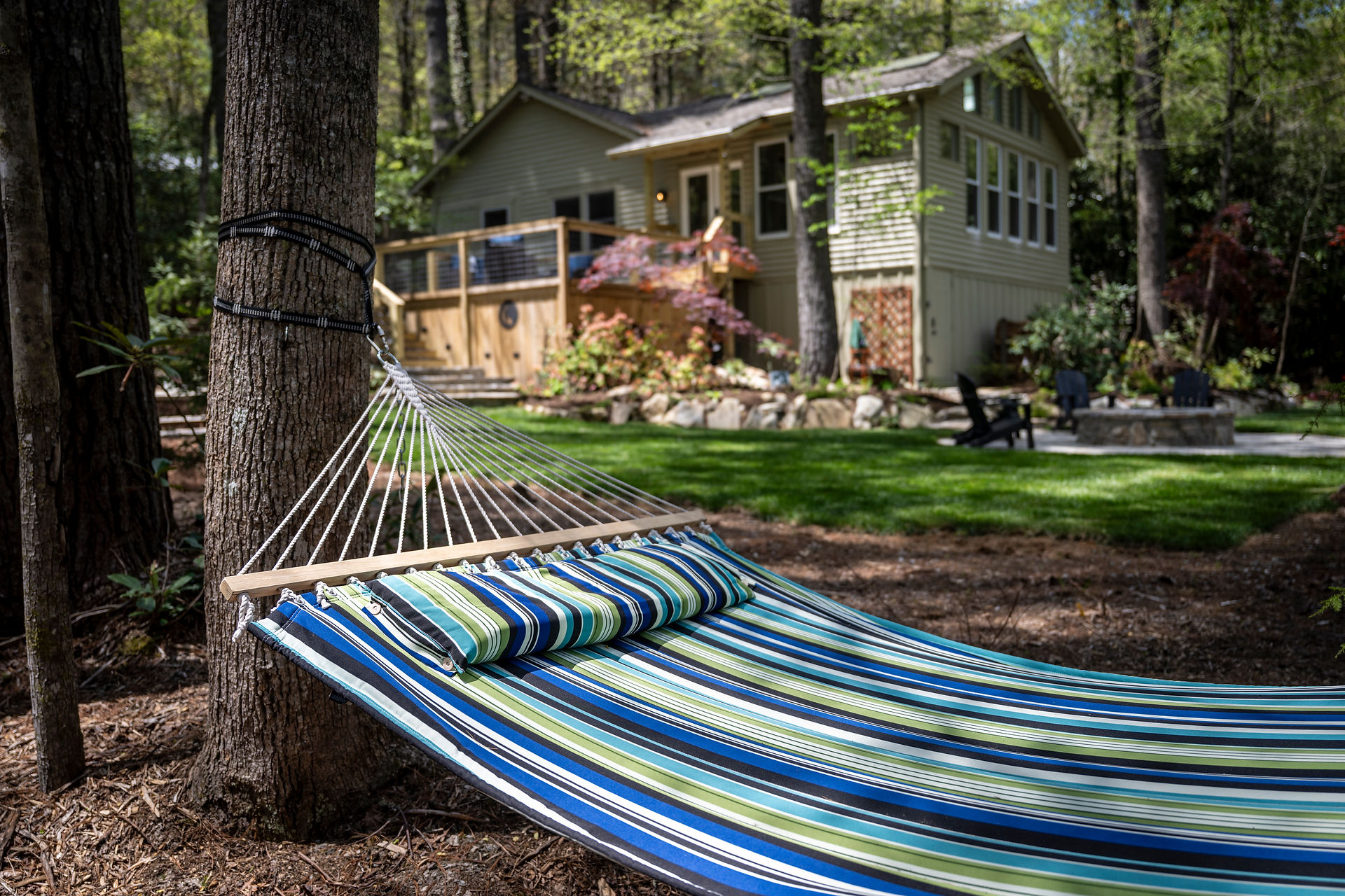 View of new landscape from hammock.