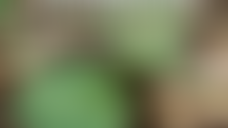 Summer Week 7 Packing List & Extras (The Wild Week)