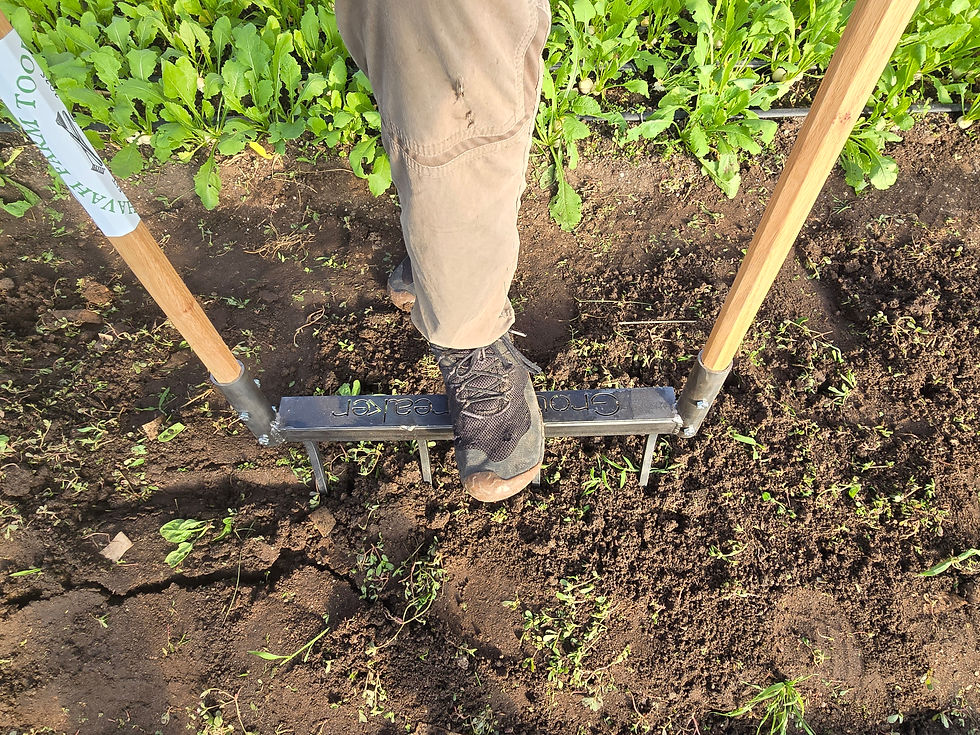 Thumbnail: Standard Broadfork (28") – The Groundbreaker - Hickory Handles