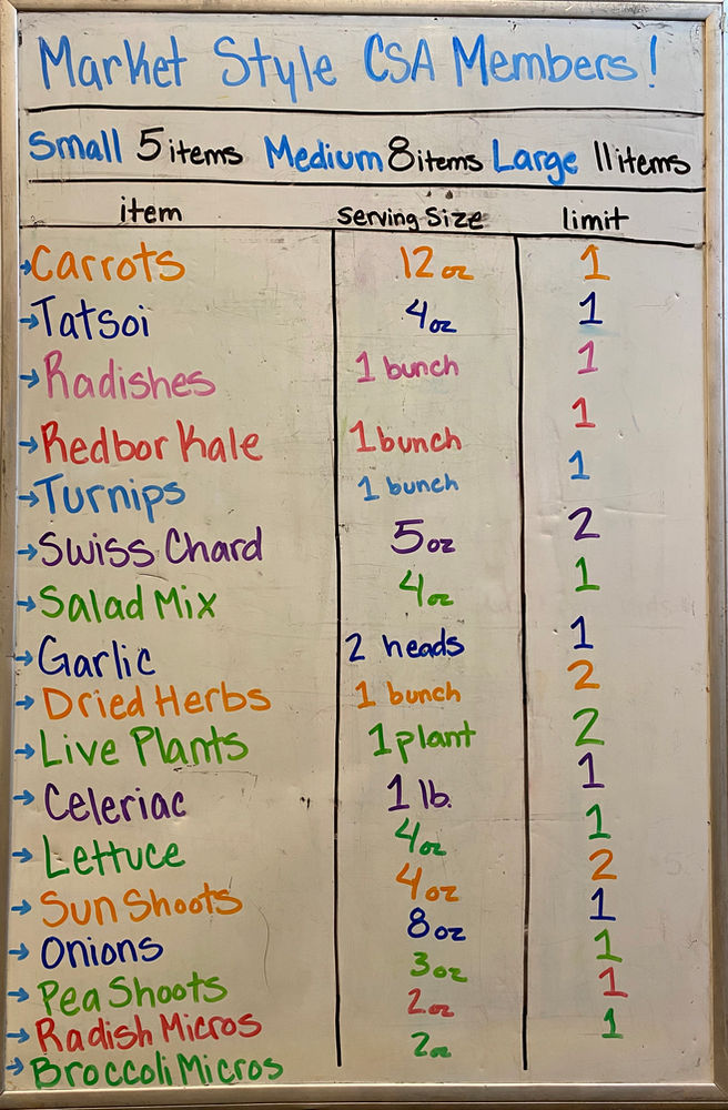 Week 5 Packing List & Extras