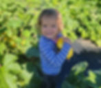 Thumbnail: SPRING 2026 - MEDIUM (7-9 bunches of veggies/wk) (Season Start: APRIL)