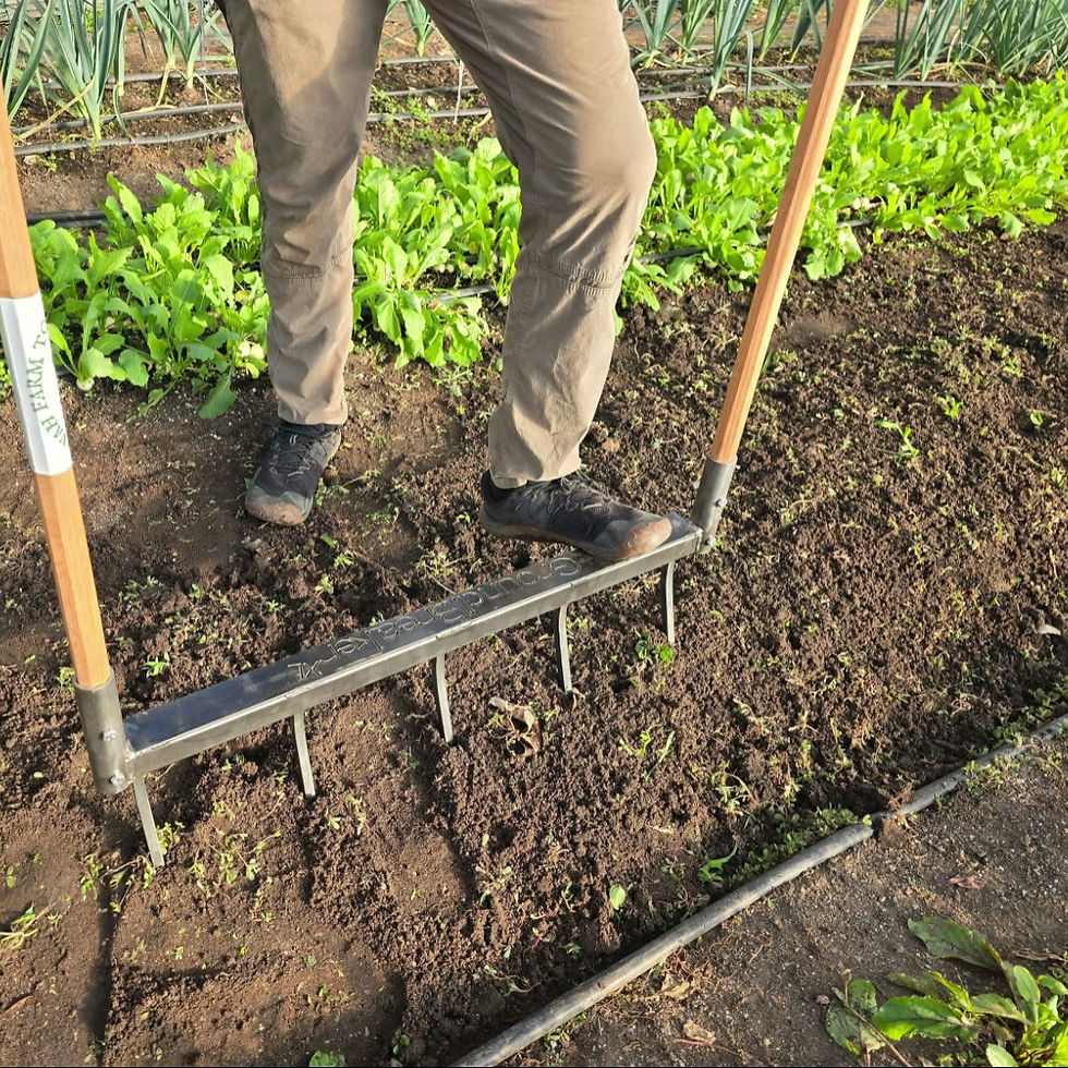 Thumbnail: 36" Extra-Large Groundbreaker Broadfork - Steel Handles