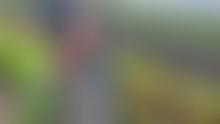 CSA Newsletter June 29th, 2021