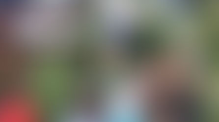 Ahavah Farm Community News, August 18th, 2021