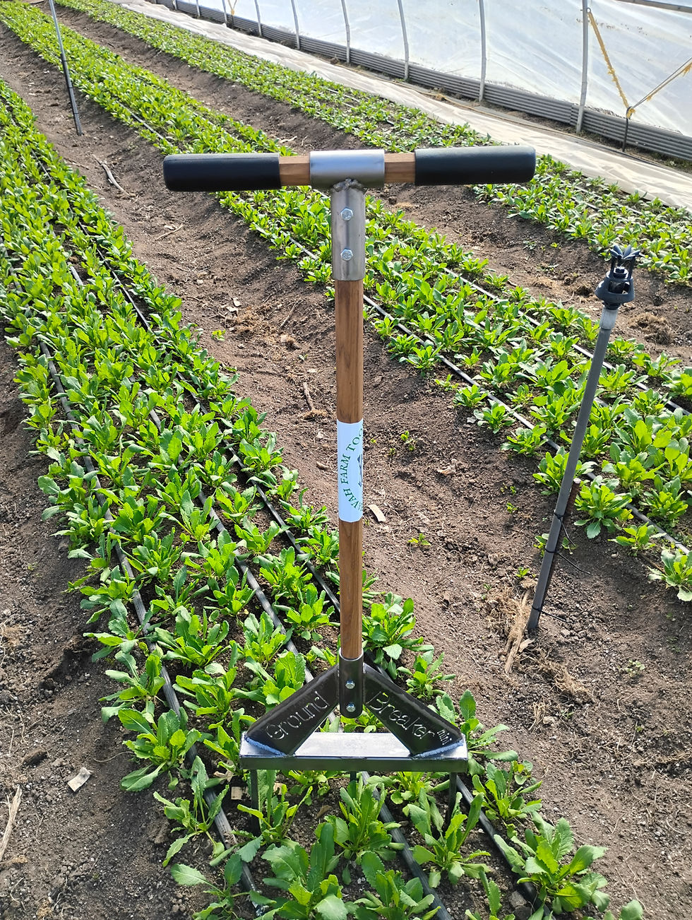 Thumbnail: Mini Groundbreaker Broadfork - 16" - Hickory Handled