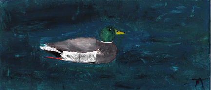 "Swimming Duck" in Acrylic Paint on Bristol Board by Terynn McNairnie