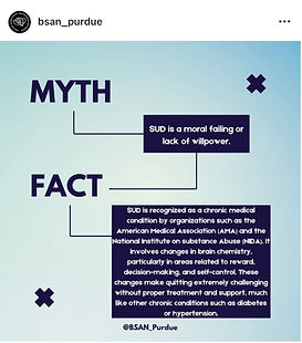 BSAN Instagram.jpg