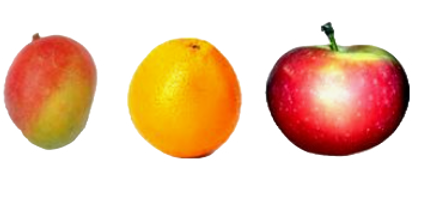 food4_edited.png