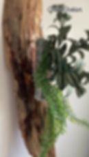 Miniature : Objet mural en bois flotté