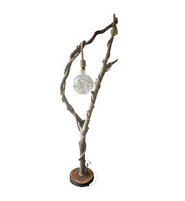 lampe et ses 2ampoules-Photoroom (3).jpg