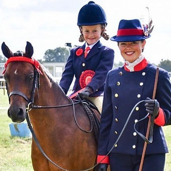 Windsor Experts Windsor Carriages