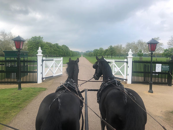 Entering The Windsor Deer Park_Windsor C