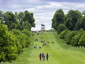 Exploring Windsor Great Park with a Private Guide: The Stories Behind Its Equestrian Statues