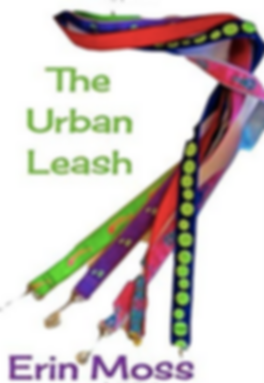 UL cover.png