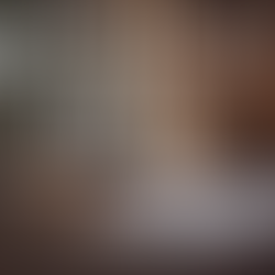 Understanding the Bible