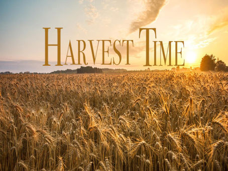 Harvest Time