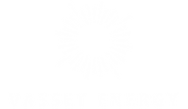 VASSET ENERGY LOGO 20230404.png