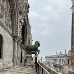 I RIDOTTI DEI PROCURATORI EN EL PALAZZO DELLA LIBRERIA