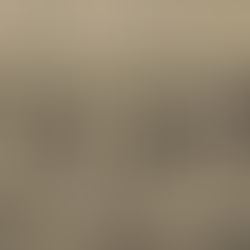 ¿QUÉ NOS CUENTAN LOS CAMELLOS 🐪 DEL PALACIO ZEN?